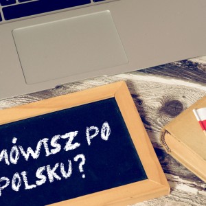 Style wypowiedzi w języku polskim 