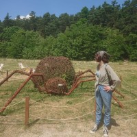 Korepetycje - Aleksandra R.