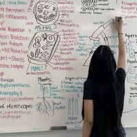 Korepetycje Malwina Ma - BUKI