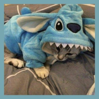 Andżelika Adamczuk  korepetytor  Matematyki online